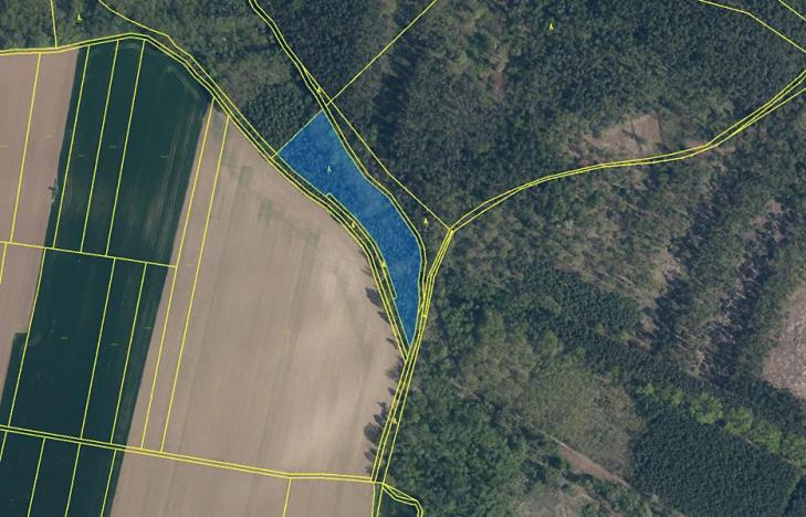 Prodej lesa, Bechlín, 31569 m2