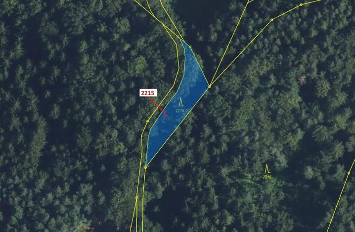 Dražba lesa, Písečná, 548 m2