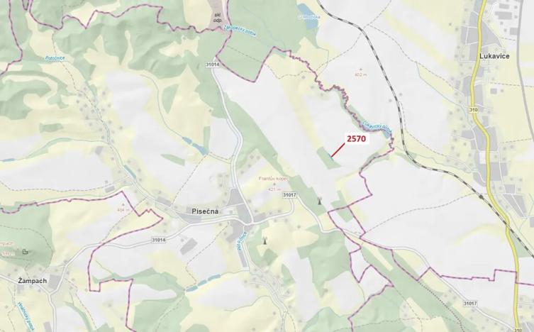 Dražba lesa, Písečná, 447 m2