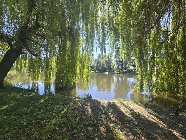 Prodej bytu 3+kk, Jemnice, Tyršova, 109 m2