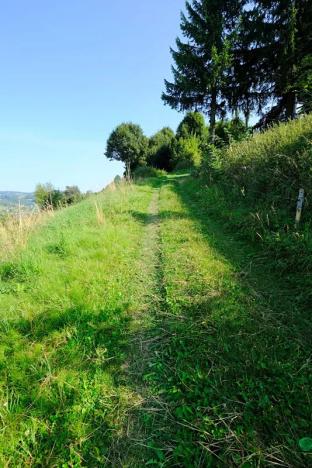 Prodej chaty, Lopeník, 180 m2