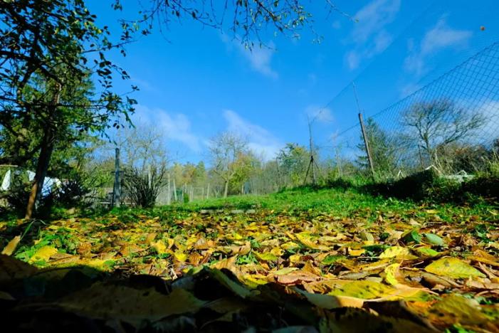 Prodej rodinného domu, Vlčnov, 75 m2