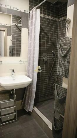 Pronájem bytu 2+1, Chomutov, Vrchlického, 55 m2