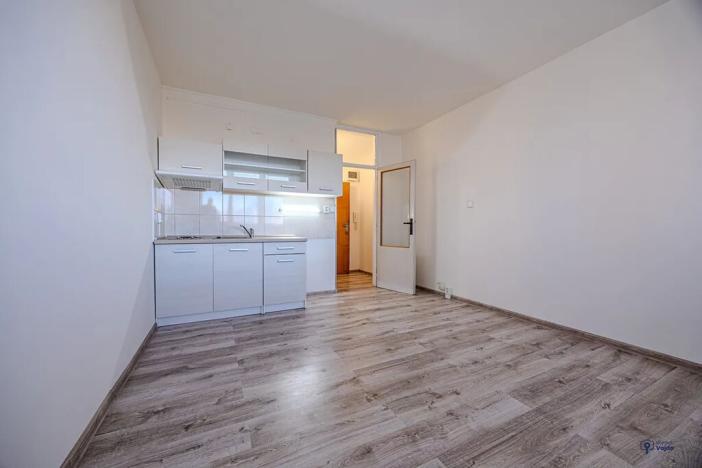 Pronájem bytu 1+kk, Frýdek-Místek, 17. listopadu, 23 m2