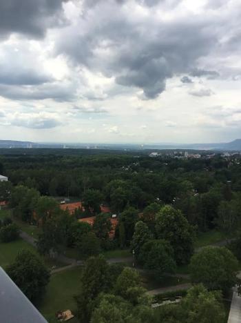 Pronájem bytu 1+kk, Litvínov, Koldům, 27 m2