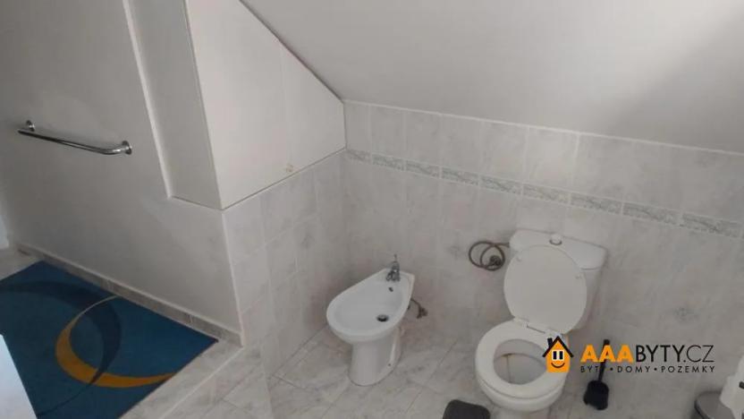 Prodej vícegeneračního domu, Hýskov, Prostřední, 330 m2