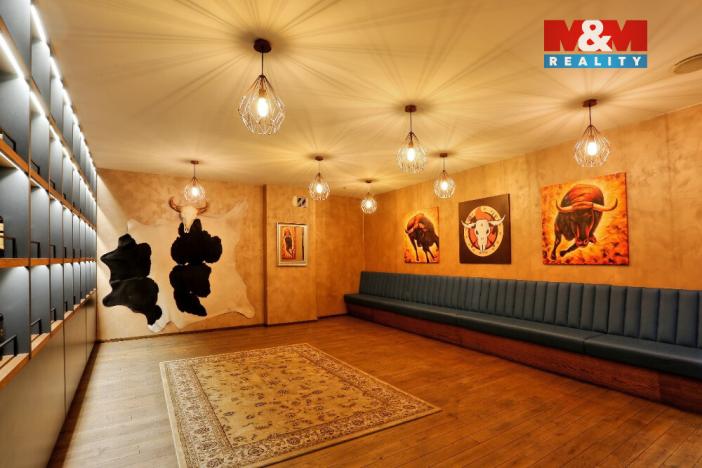 Prodej obchodního prostoru, Olomouc, Riegrova, 890 m2