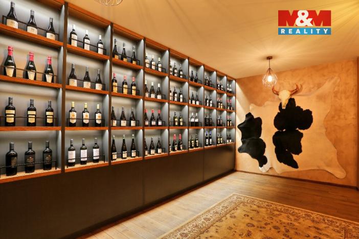 Prodej obchodního prostoru, Olomouc, Riegrova, 890 m2