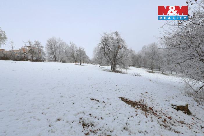 Prodej zahrady, Bernartice, 8163 m2