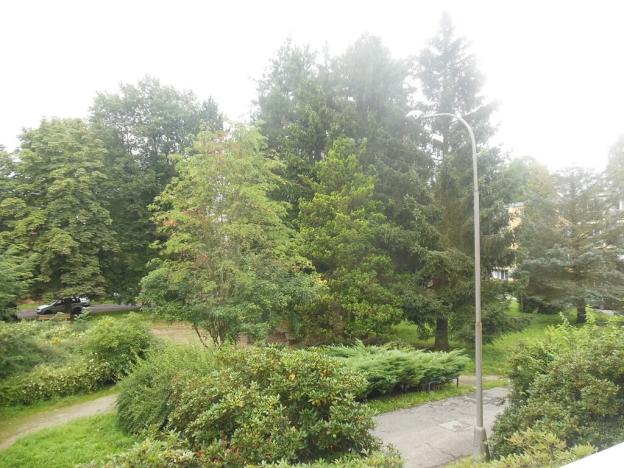 Pronájem bytu 2+1, Liberec, Školní, 55 m2