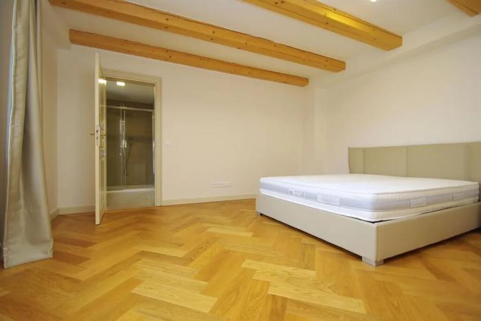 Pronájem atypického bytu, Praha - Nové Město, Bolzanova, 199 m2