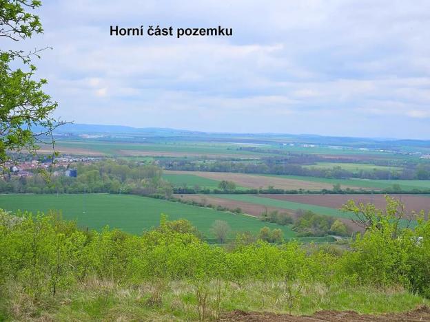 Prodej zahrady, Židlochovice, 4210 m2