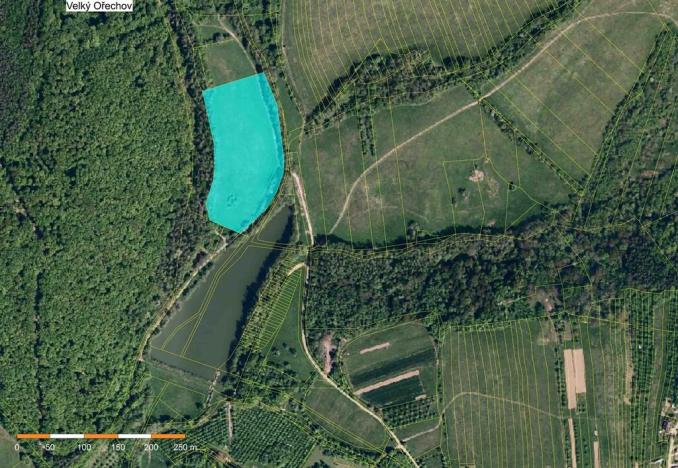 Prodej louky, Velký Ořechov, 21368 m2