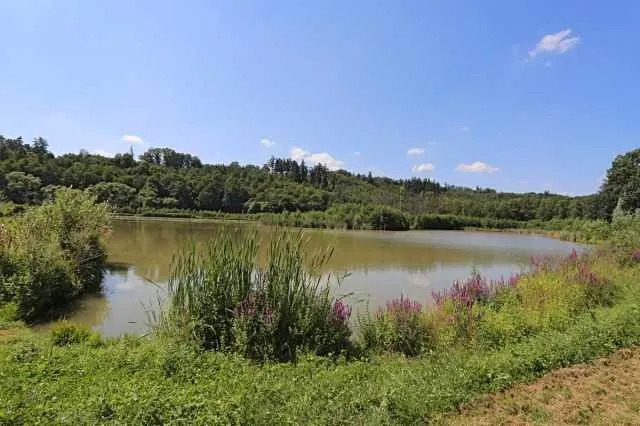 Prodej podílu pole, Bítov, 7251 m2