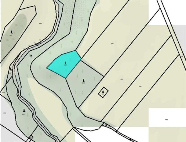 Prodej lesa, Rouchovany, 1620 m2