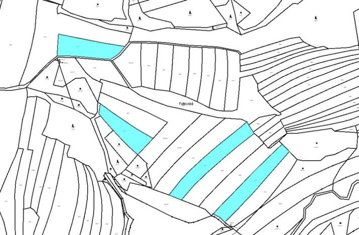 Prodej pole, Střelná, 10589 m2