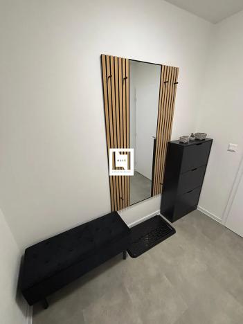 Pronájem bytu 1+kk, Olomouc, Aloise Rašína, 31 m2