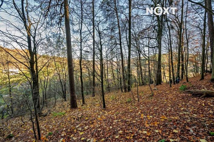 Prodej pozemku pro bydlení, Malá Skála, 3487 m2