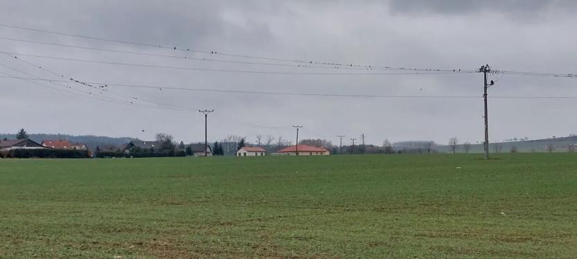 Prodej pole, Podluhy, 25484 m2