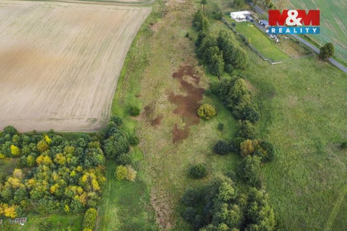 Prodej louky, Františkovy Lázně - Žírovice, 8900 m2