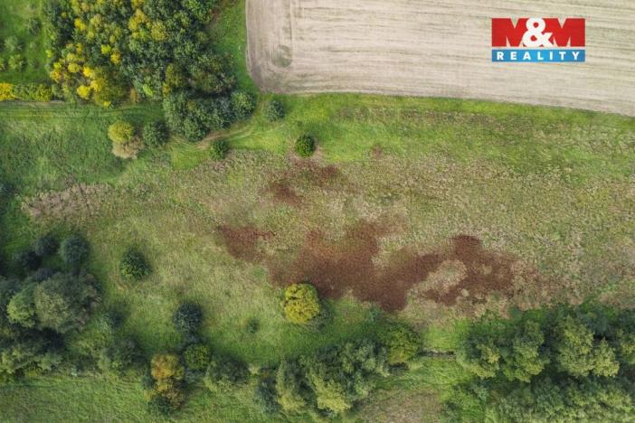 Prodej louky, Františkovy Lázně - Žírovice, 8900 m2