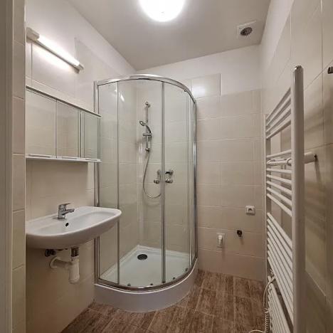 Pronájem bytu 1+kk, Praha - Bubeneč, U zeměpisného ústavu, 26 m2