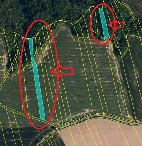 Prodej lesa, Lhota, 6286 m2