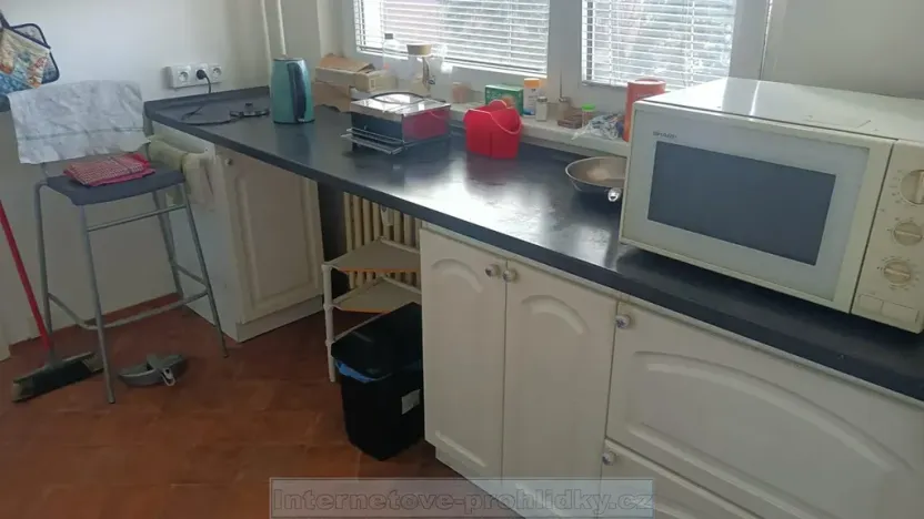 Pronájem pokoje, Praha - Hlubočepy, Geologická, 18 m2