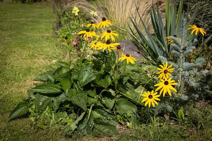 Prodej vícegeneračního domu, Bžany, 240 m2