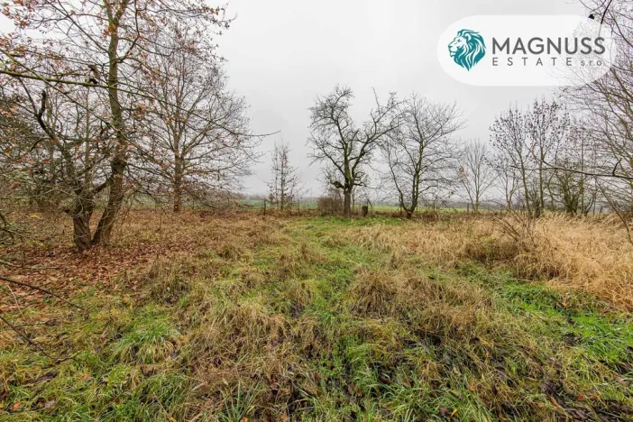 Prodej pozemku, Libina, 7132 m2