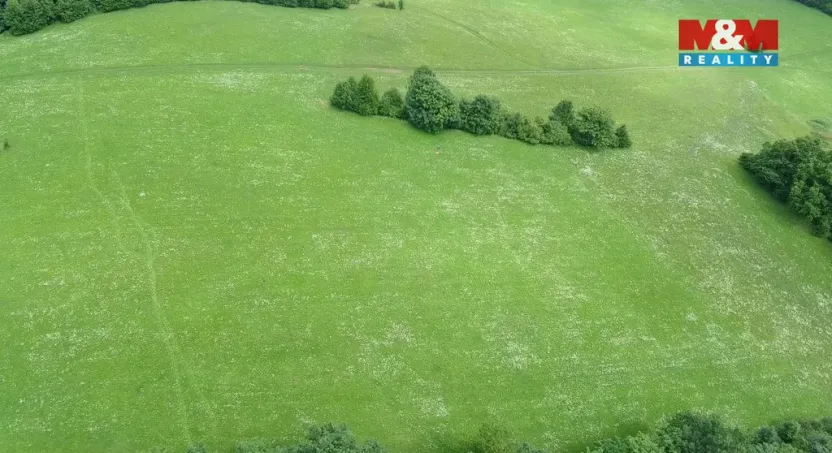 Prodej louky, Štramberk, 4766 m2