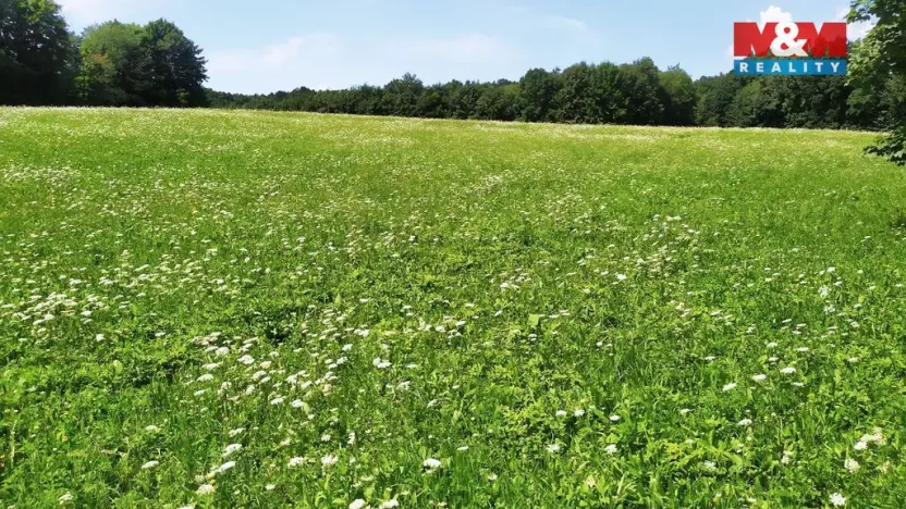 Prodej louky, Štramberk, 4766 m2