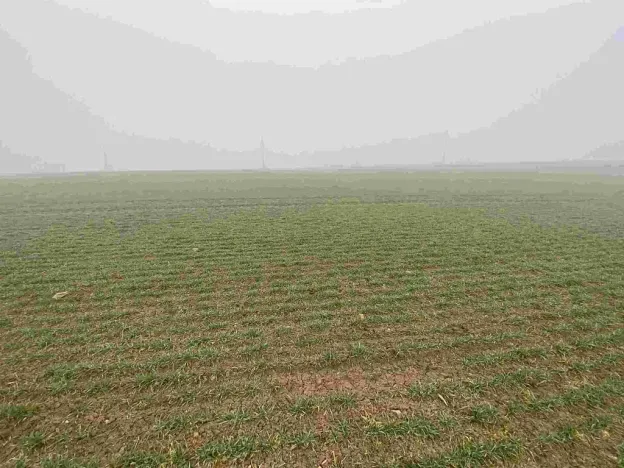 Prodej pole, Ctidružice, 58835 m2