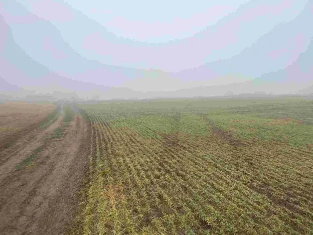 Prodej pole, Ctidružice, 58835 m2