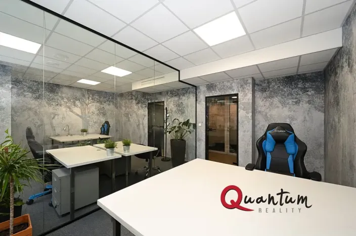 Pronájem kanceláře, Praha - Vinohrady, Šafaříkova, 138 m2