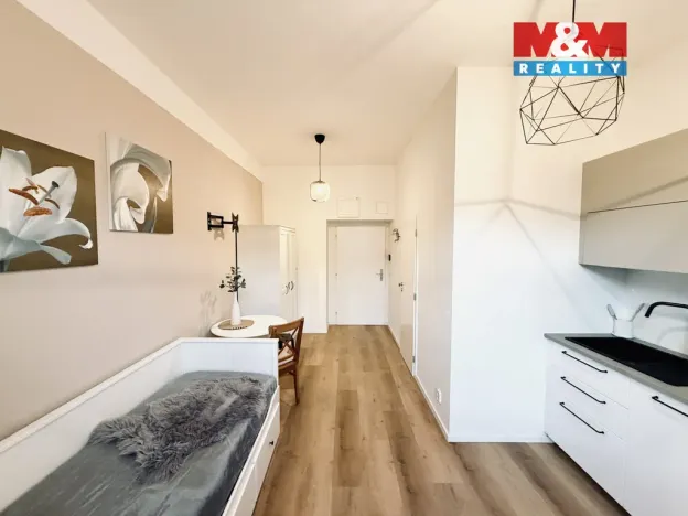 Pronájem bytu 1+kk, Praha - Košíře, U Tyrše, 19 m2