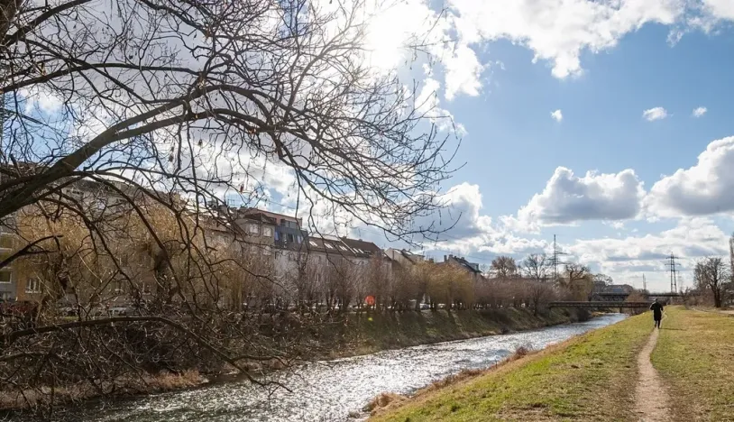 Pronájem bytu 1+kk, Brno, Tomáškova, 35 m2