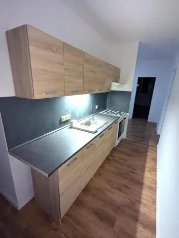 Pronájem bytu 2+1, Ústí nad Labem, Gagarinova, 64 m2