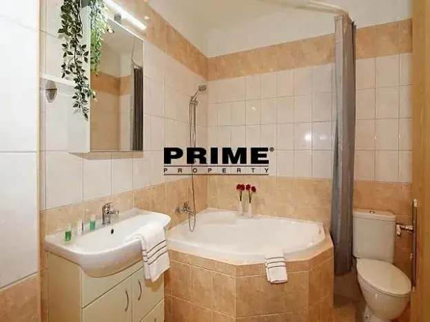 Pronájem bytu 3+kk, Praha - Vinohrady, Moravská, 65 m2