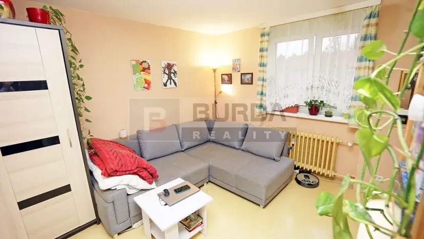 Prodej bytu 1+1, Neratovice, 28 m2