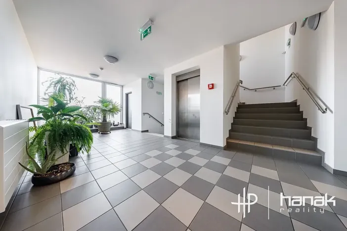 Prodej bytu 2+kk, Olomouc, Wolkerova, 61 m2