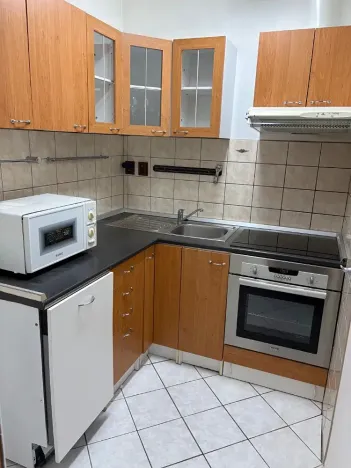 Prodej bytu 2+kk, Praha - Žižkov, Hartigova, 55 m2