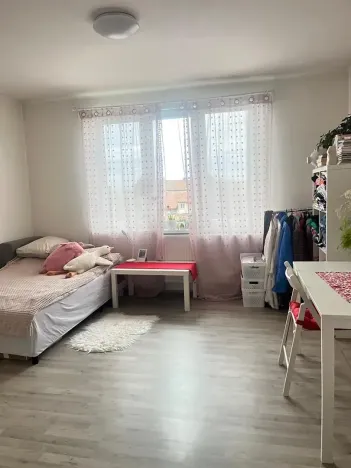 Pronájem bytu 1+kk, Spomyšl, 26 m2