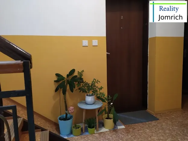 Pronájem bytu 1+kk, Liberec, Česká, 30 m2