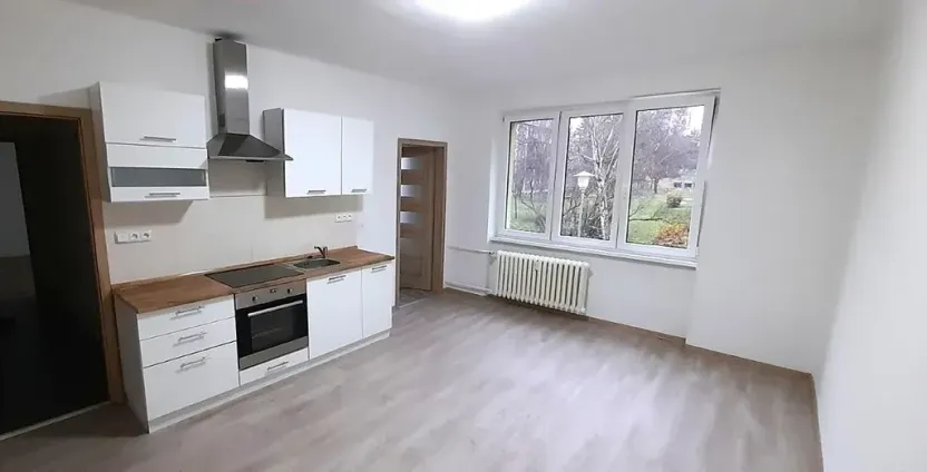 Pronájem bytu 3+kk, Most, Josefa Skupy, 51 m2