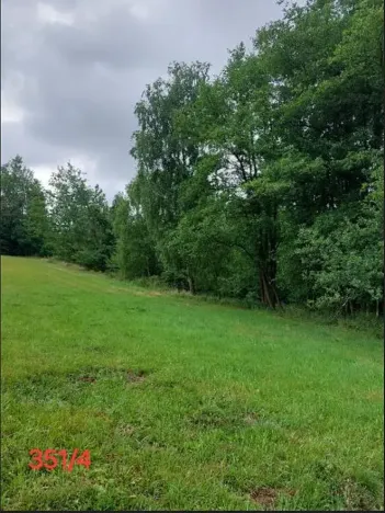 Prodej lesa, Dubovice, 1386 m2