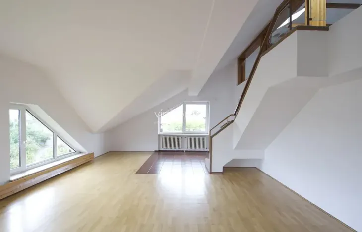 Pronájem bytu 6+kk a větší, Praha - Braník, Psohlavců, 290 m2