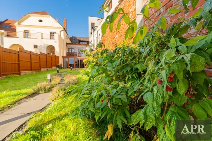 Prodej rodinného domu, Uherský Brod, Masarykovo nám., 275 m2