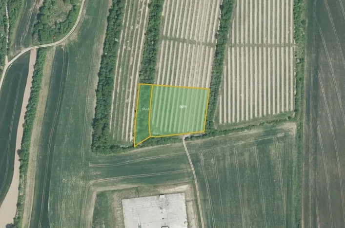 Prodej pole, Žarošice, 8639 m2