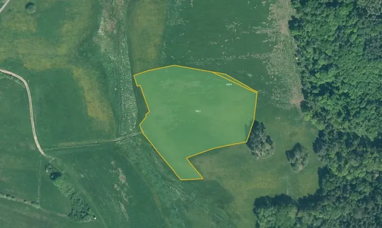 Prodej louky, Cerhonice, 23064 m2